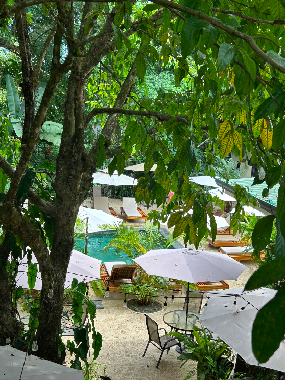 Garden and pool view from the Double Queen Deluxe corridor