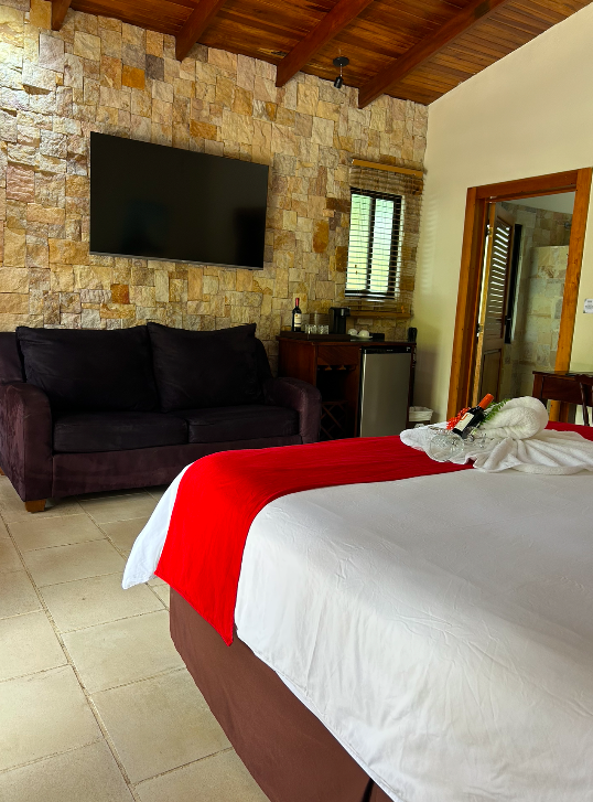 Deluxe room with stone wall, sofa and king bed